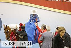 13usn_17561 proof