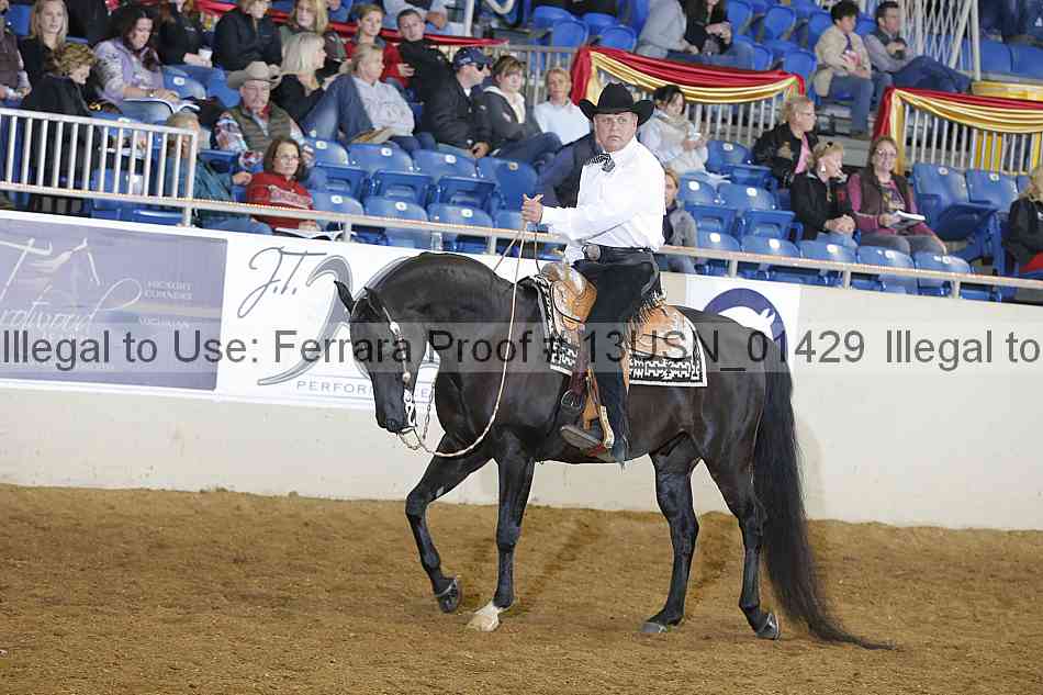 Proof 13usn_01429