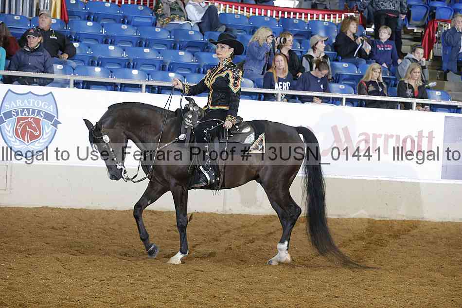 Proof 13usn_01441