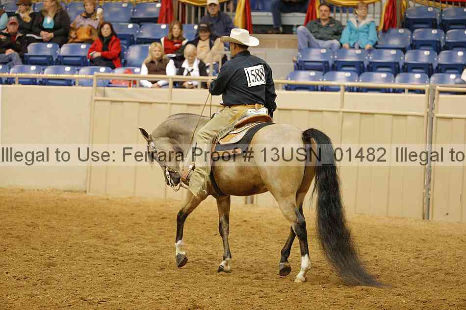 Proof 13usn_01482