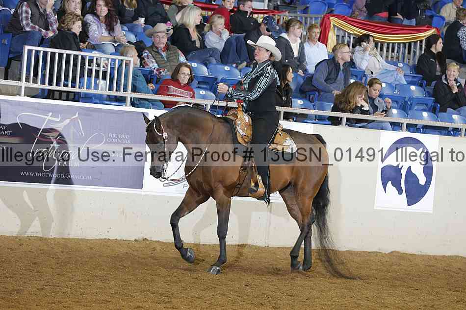 Proof 13usn_01491