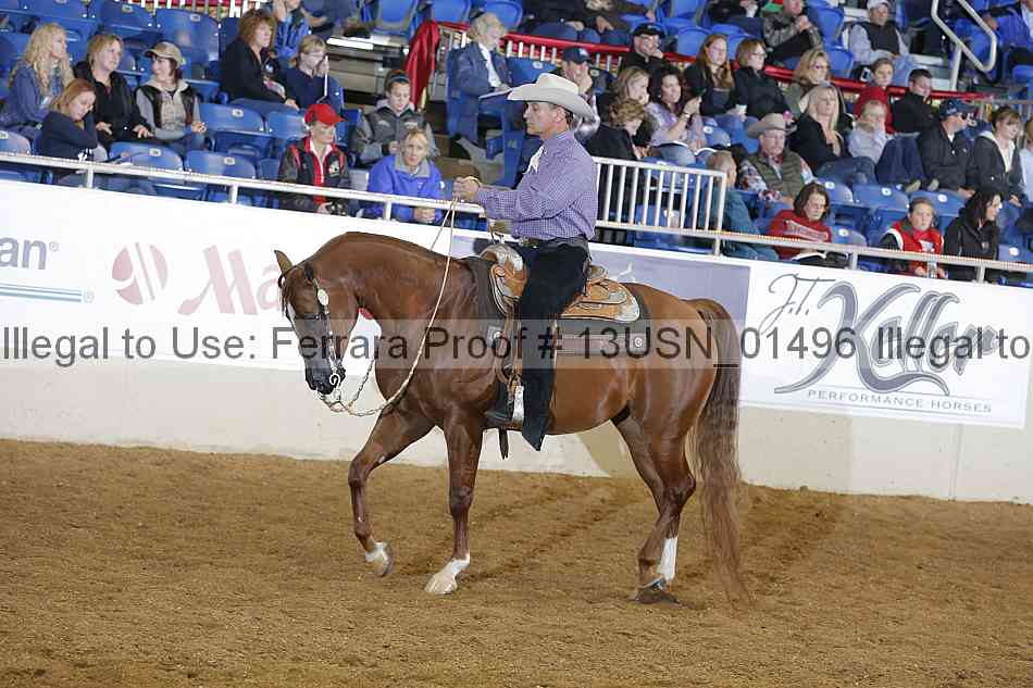 Proof 13usn_01496