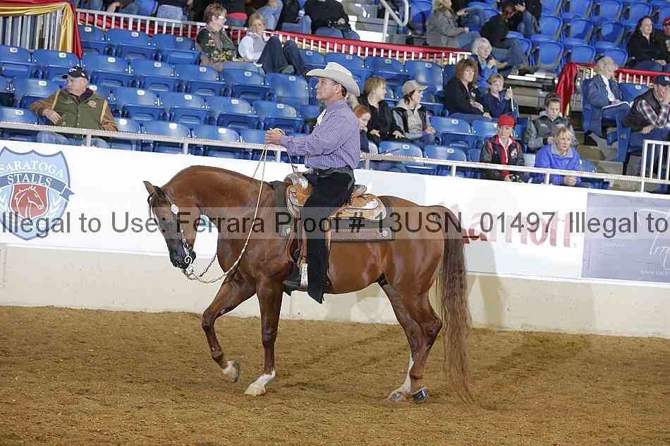 Proof 13usn_01497