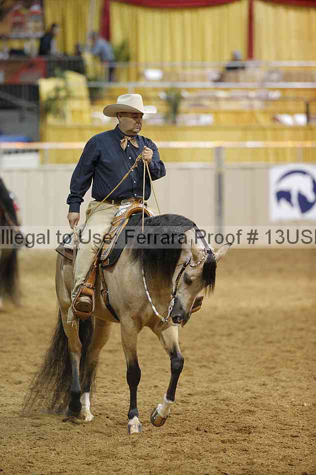 Proof 13usn_01502