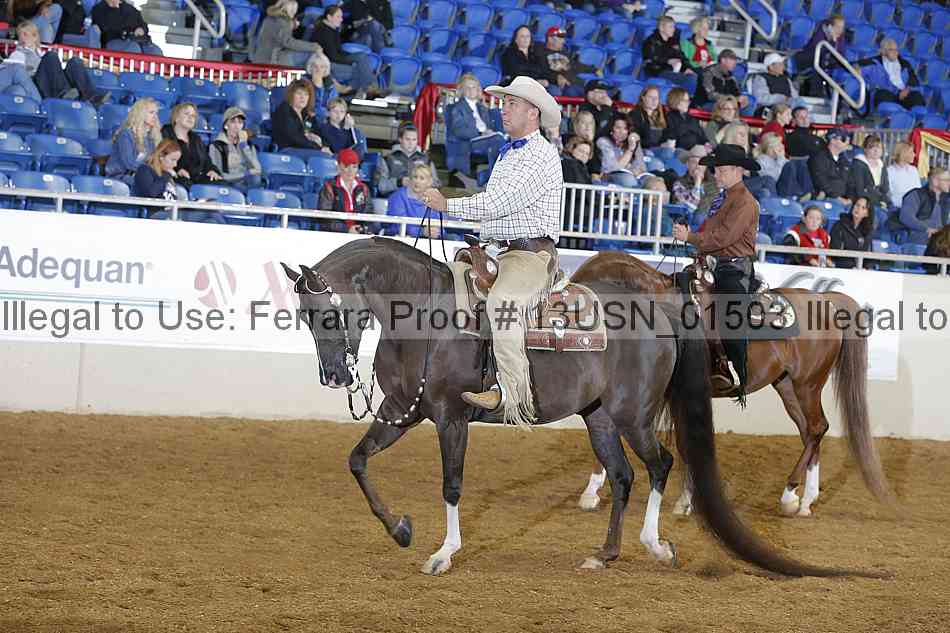 Proof 13usn_01503