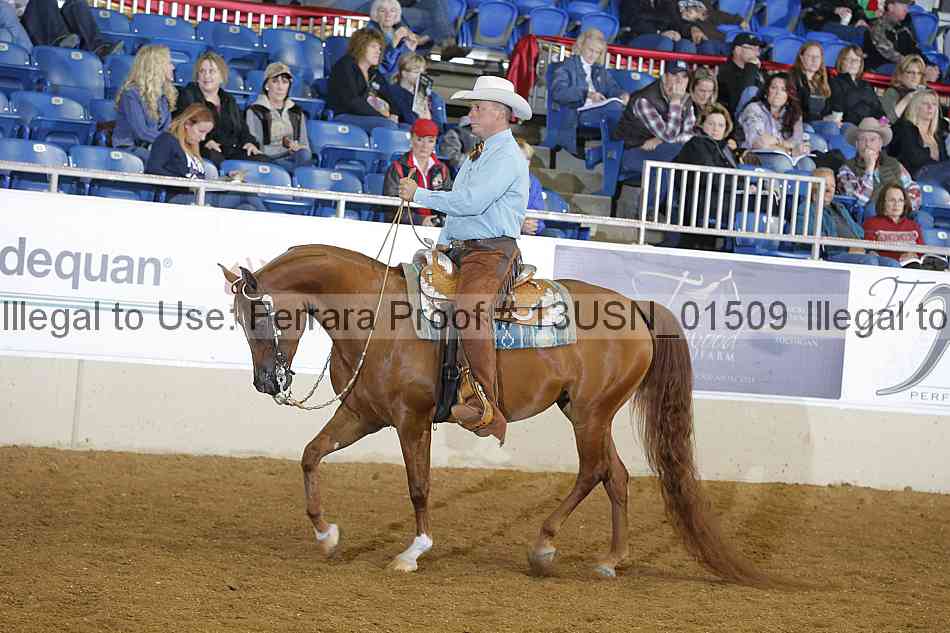 Proof 13usn_01509
