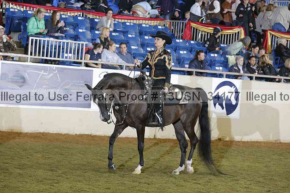 Proof 13usn_34177