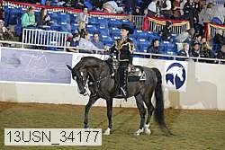 13usn_34177 proof