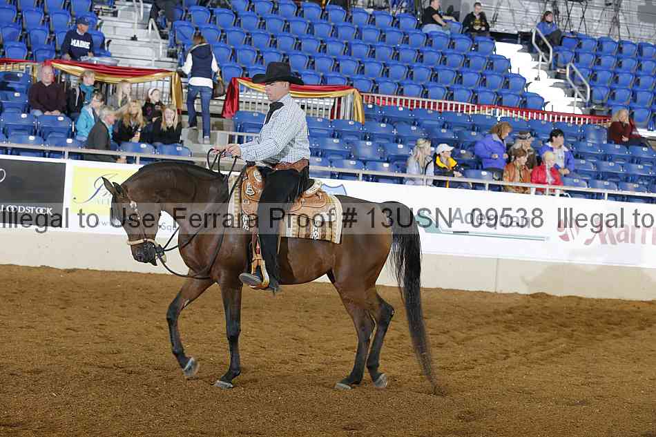 Proof 13usn_09538
