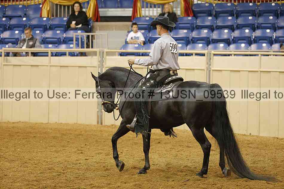 Proof 13usn_09539
