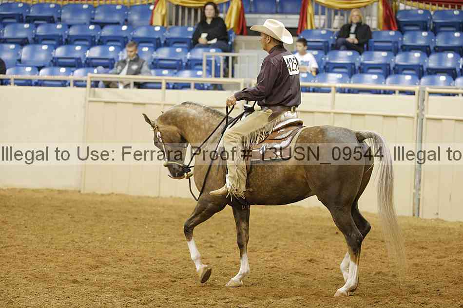 Proof 13usn_09544