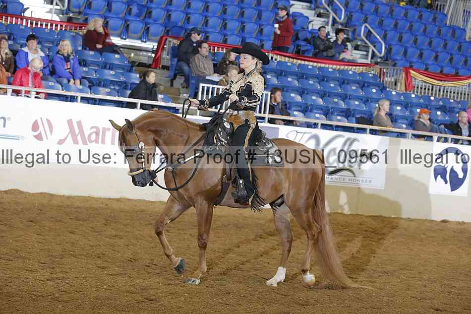 Proof 13usn_09561