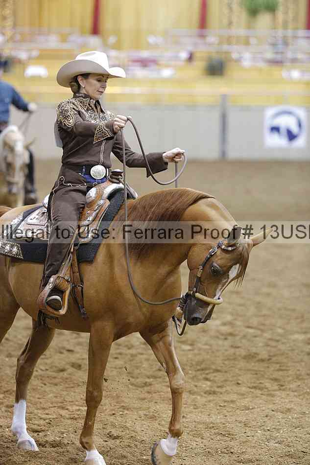 Proof 13usn_09563
