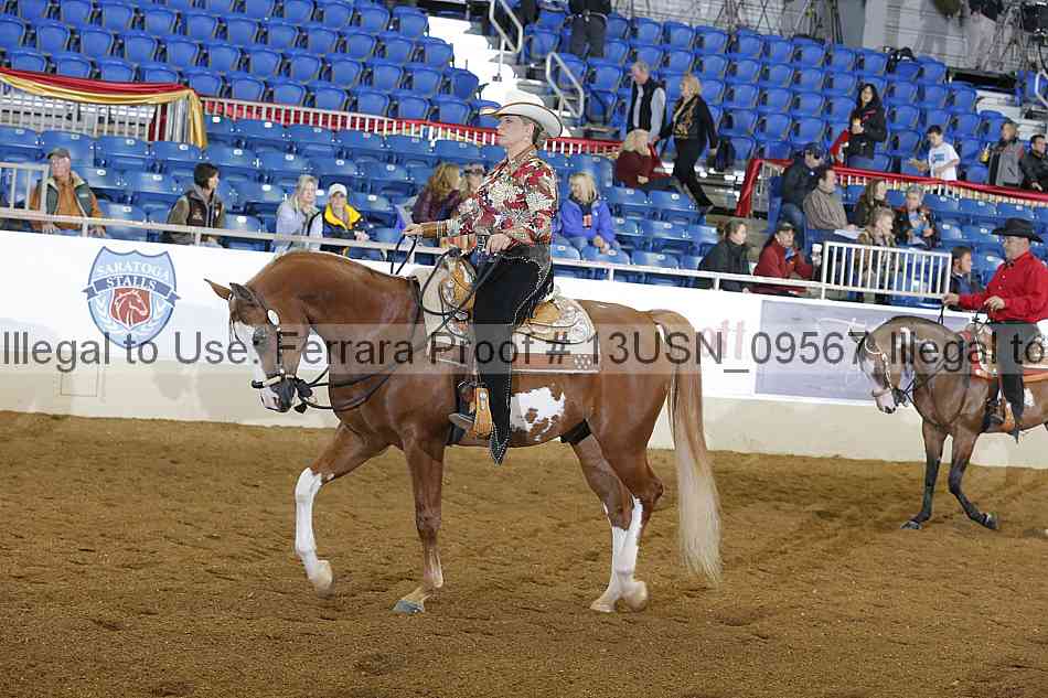 Proof 13usn_09567