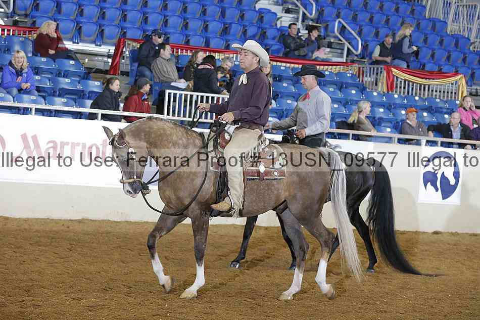 Proof 13usn_09577