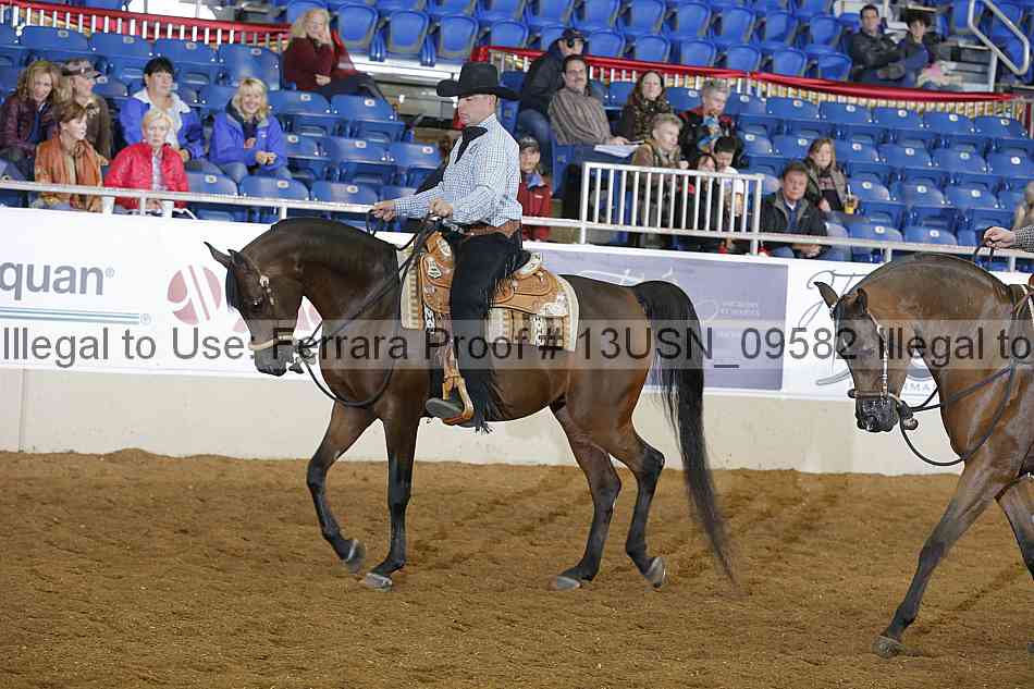 Proof 13usn_09582