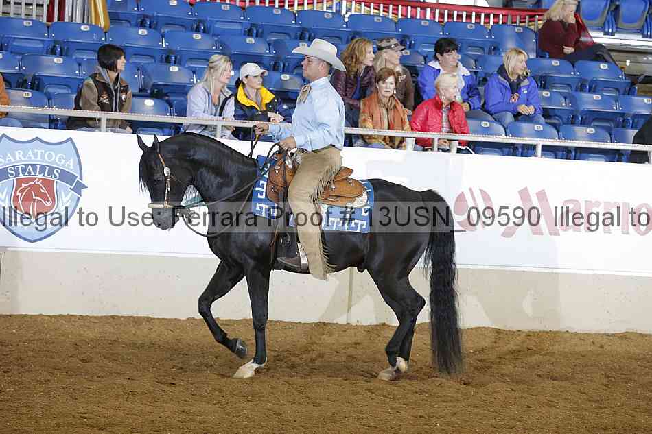 Proof 13usn_09590
