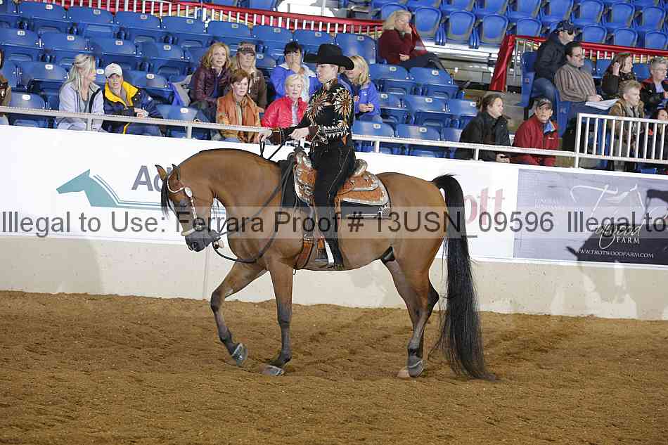 Proof 13usn_09596