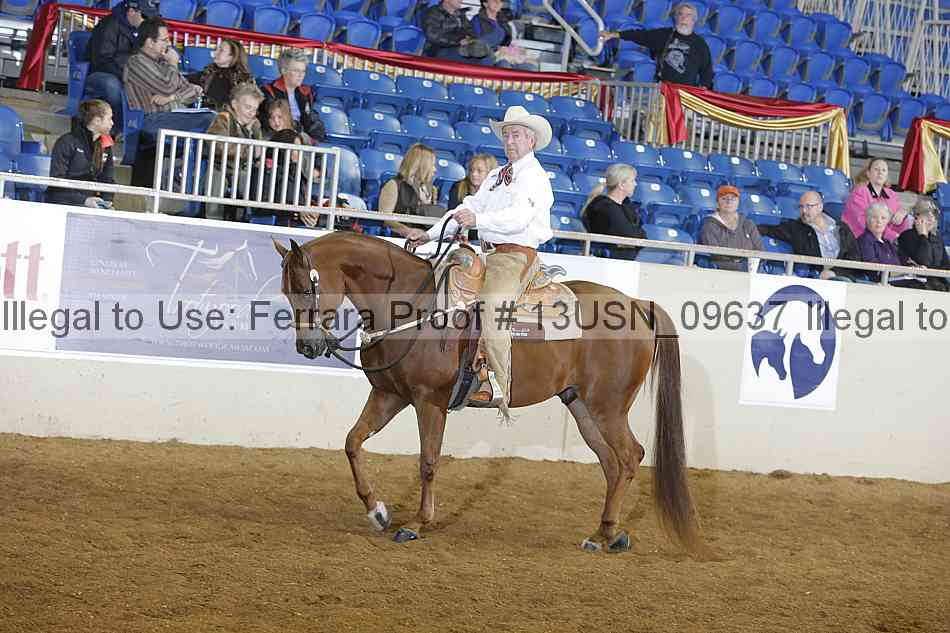 Proof 13usn_09637