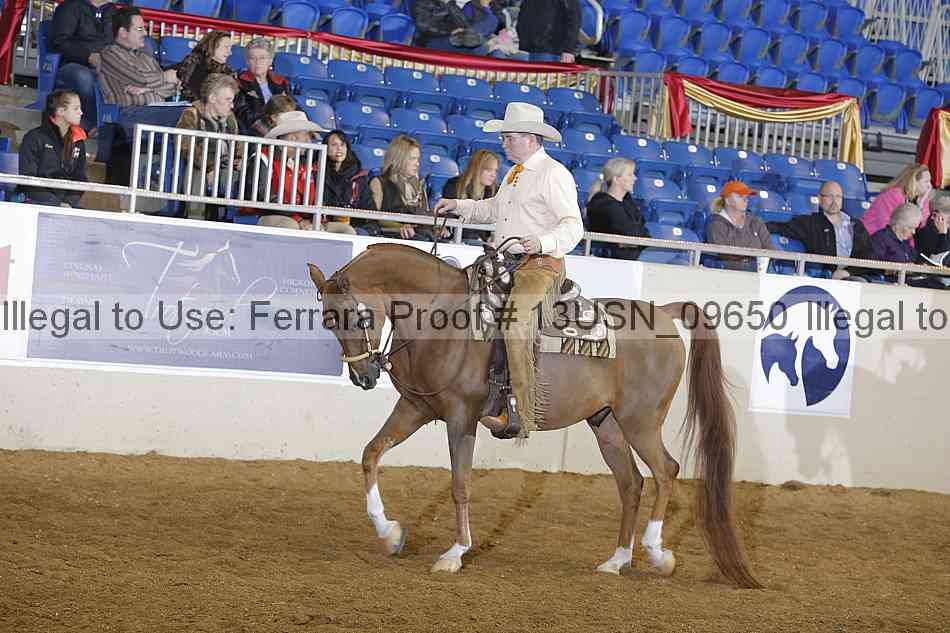Proof 13usn_09650