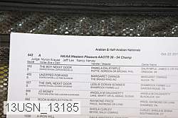 13usn_13185 proof