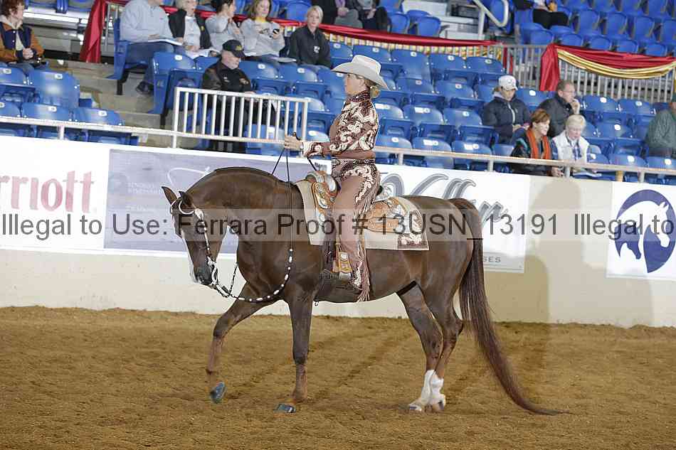 Proof 13usn_13191
