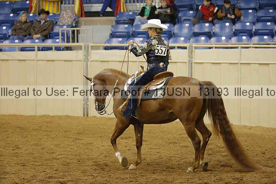 Proof 13usn_13193