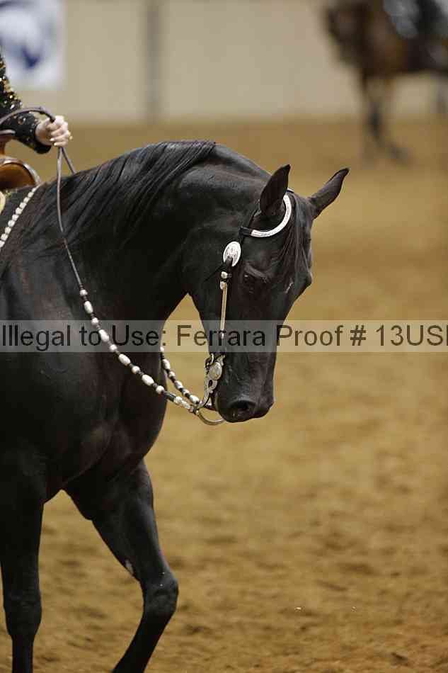 Proof 13usn_13201