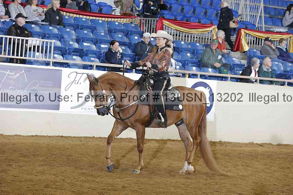 Proof 13usn_13202