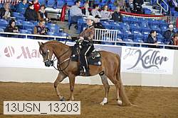 13usn_13203 proof