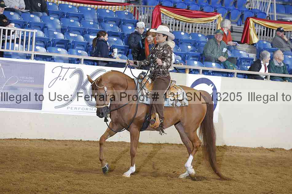 Proof 13usn_13205