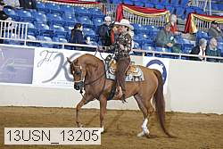 13usn_13205 proof