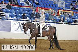 13usn_13208 proof