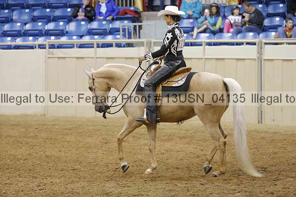 Proof 13usn_04135