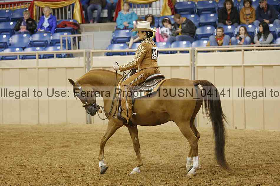 Proof 13usn_04141