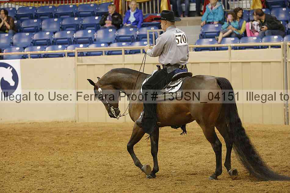 Proof 13usn_04151