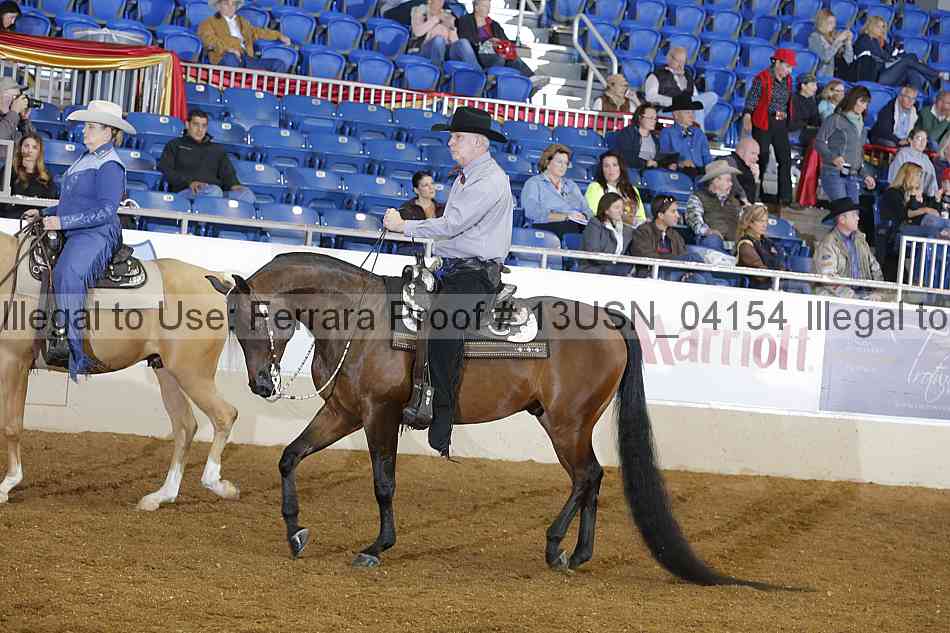 Proof 13usn_04154