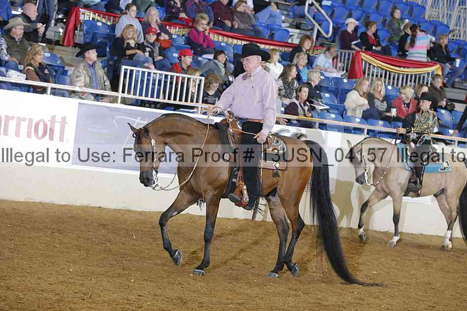 Proof 13usn_04157
