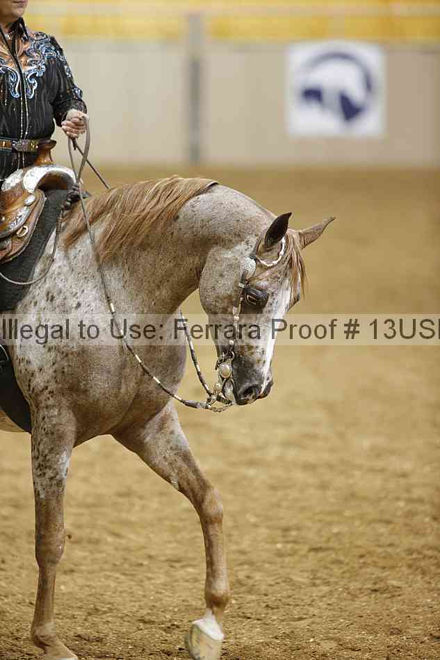 Proof 13usn_04164