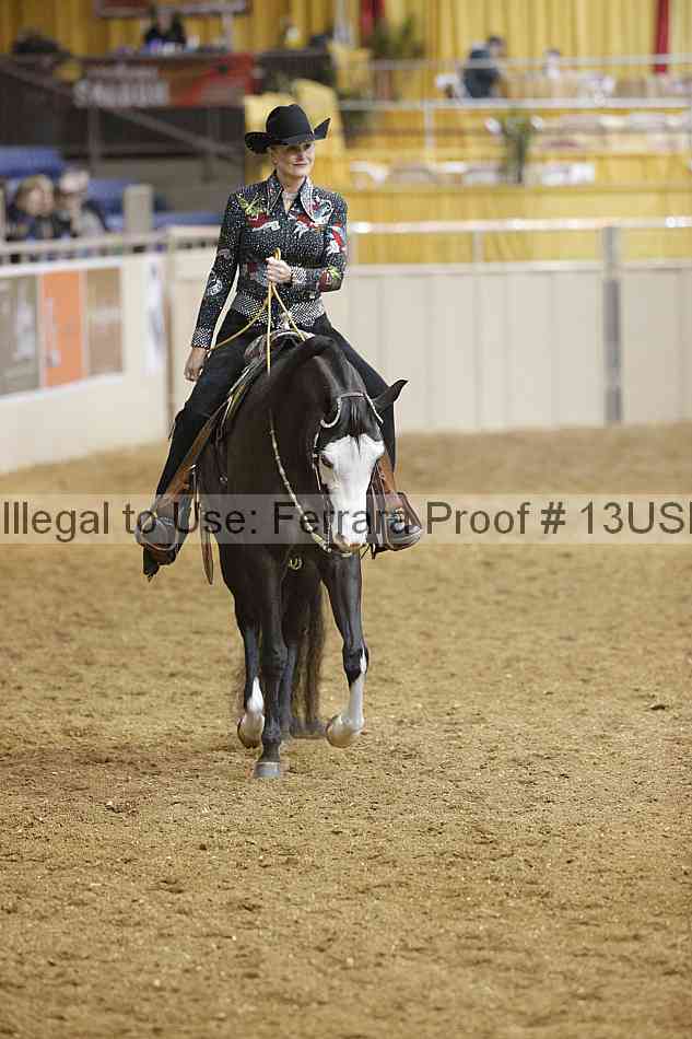 Proof 13usn_04167