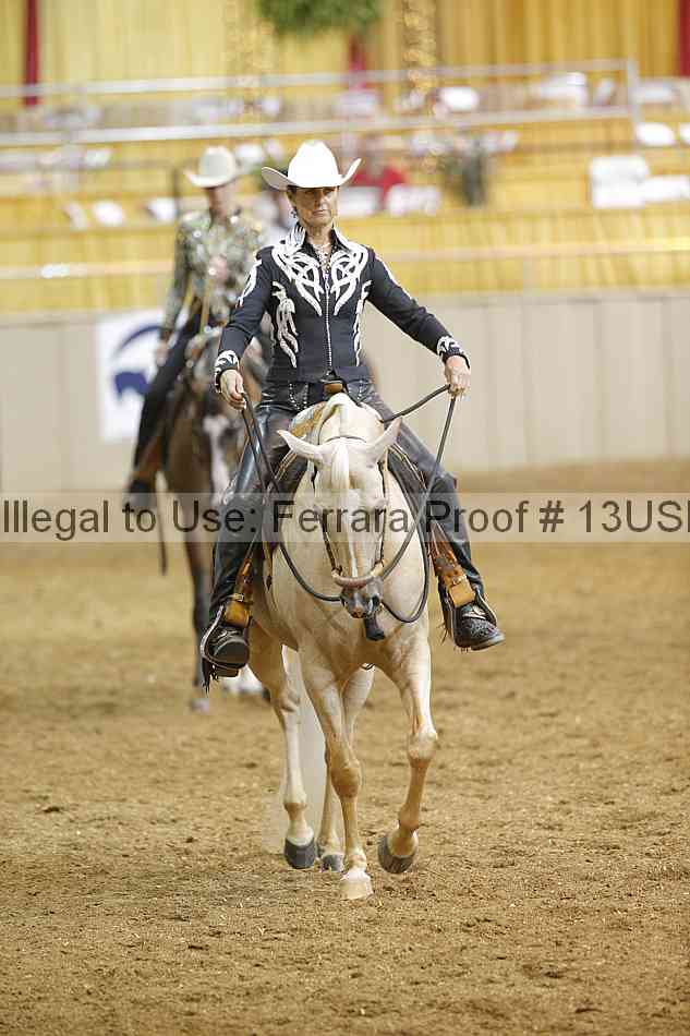 Proof 13usn_04171