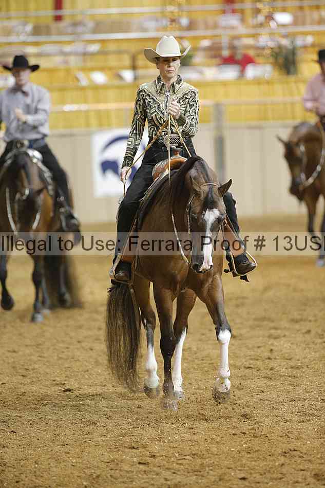 Proof 13usn_04174