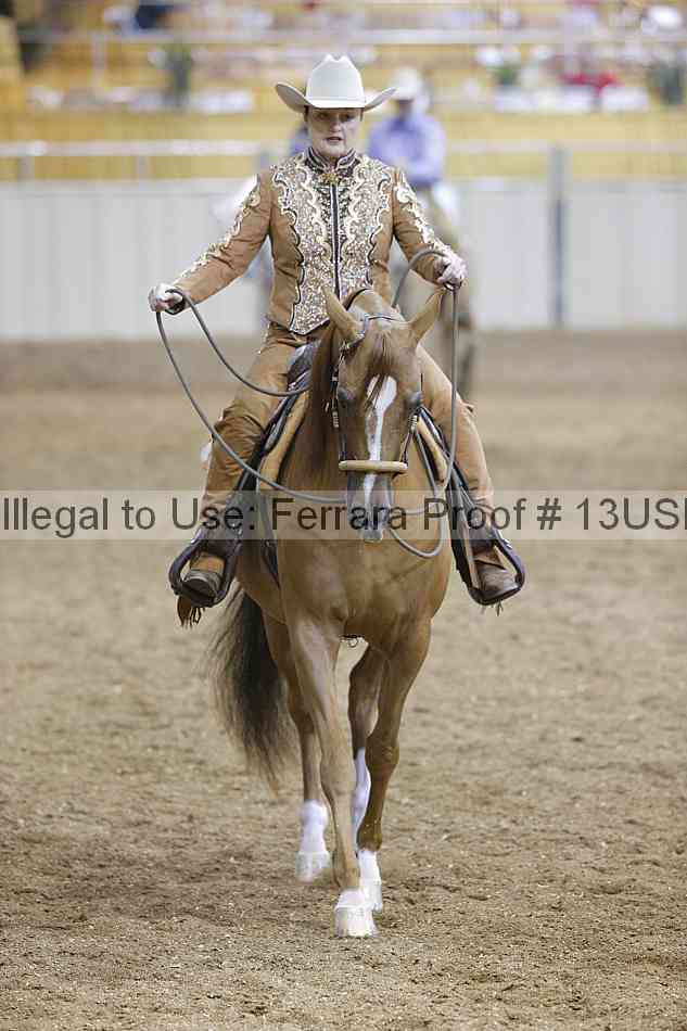 Proof 13usn_04185