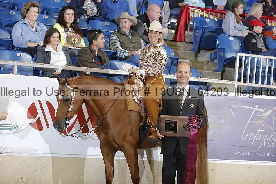 Proof 13usn_04203