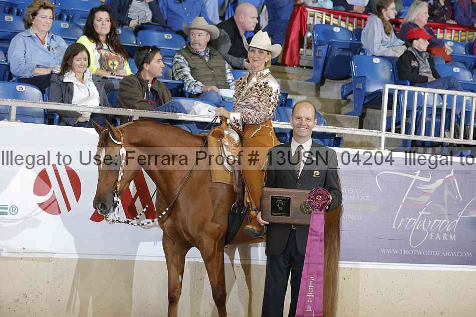 Proof 13usn_04204