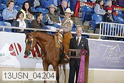 13usn_04204 proof
