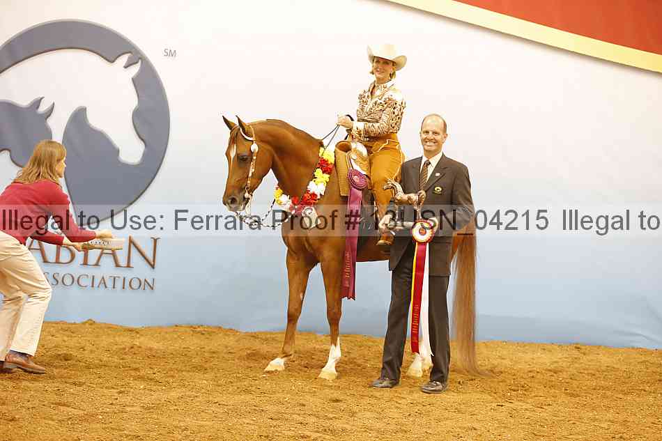 Proof 13usn_04215