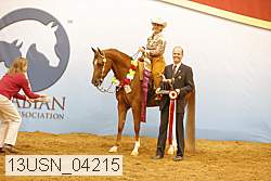13usn_04215 proof