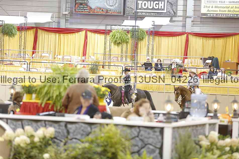 Proof 13usn_04226
