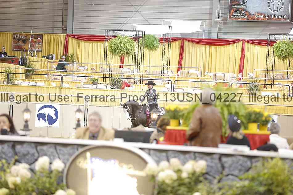 Proof 13usn_04227
